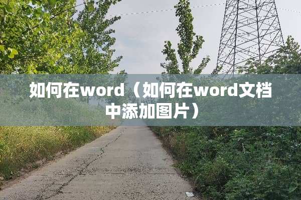 如何在word（如何在word文档中添加图片）