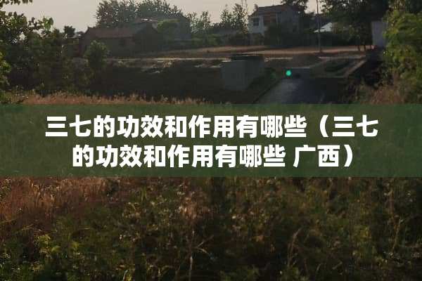三七的功效和作用有哪些（三七的功效和作用有哪些 广西）