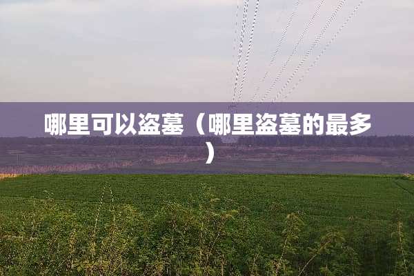 哪里可以盗墓（哪里盗墓的最多）