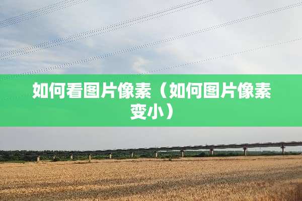 如何看图片像素（如何图片像素变小）