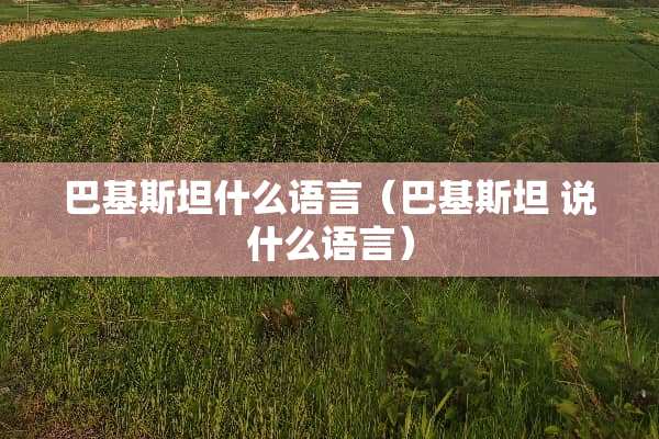 巴基斯坦什么语言（巴基斯坦 说什么语言）