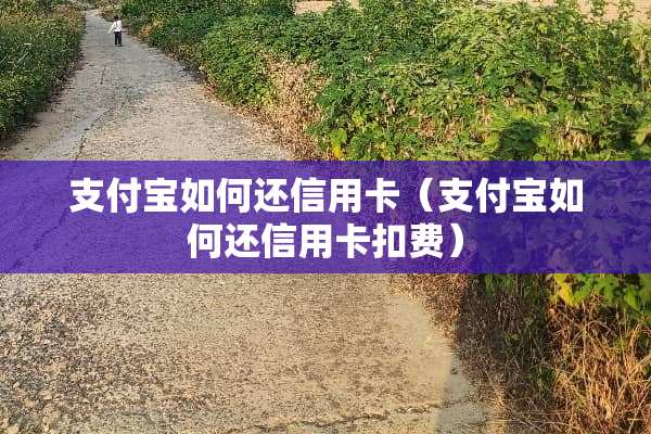 支付宝如何还***（支付宝如何还***扣费）