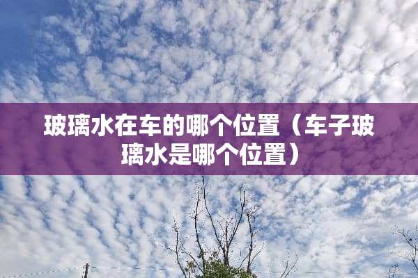 玻璃水在车的哪个位置（车子玻璃水是哪个位置）