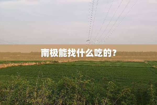 南极能找什么吃的？