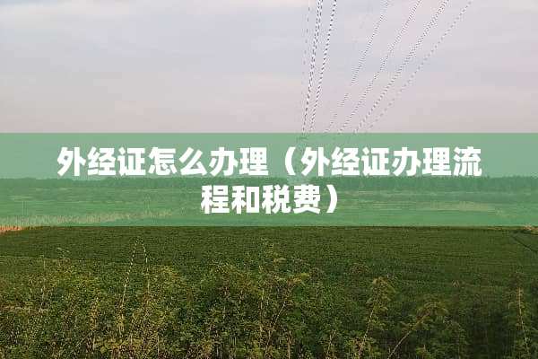 外经证怎么办理（外经证办理流程和税费）