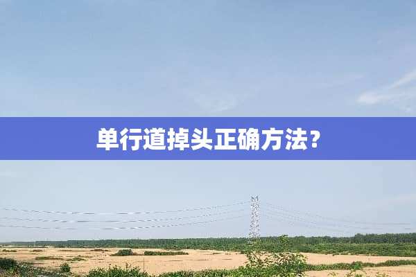 单行道掉头正确方法？