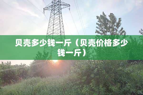贝壳多少钱一斤（贝壳价格多少钱一斤）