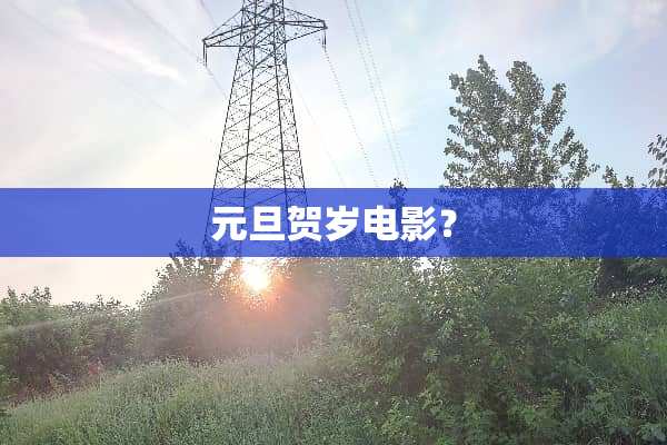 元旦贺岁电影？