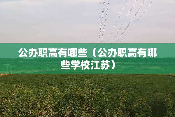 公办职高有哪些（公办职高有哪些学校江苏）