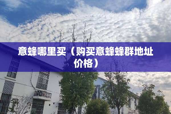 意蜂哪里买（购买意蜂蜂群地址价格）