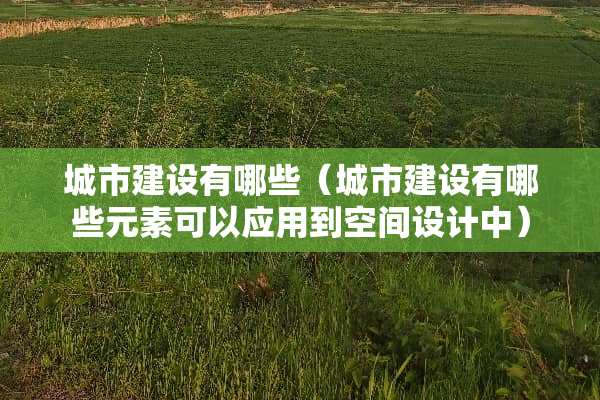城市建设有哪些（城市建设有哪些元素可以应用到空间设计中）
