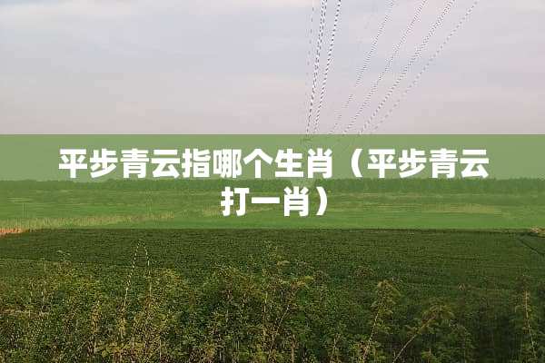 平步青云指哪个生肖（平步青云打**）