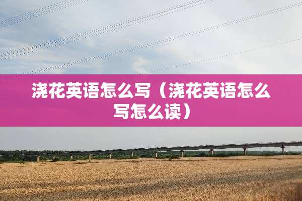 浇花英语怎么写（浇花英语怎么写怎么读）