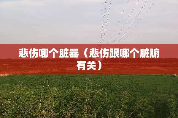 悲伤哪个脏器（悲伤跟哪个脏腑有关）