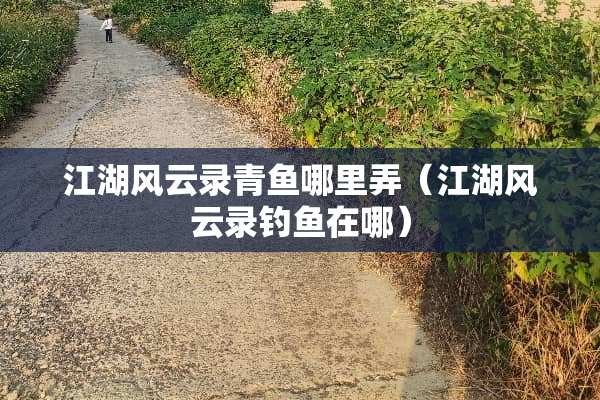 江湖风云录青鱼哪里弄（江湖风云录钓鱼在哪）