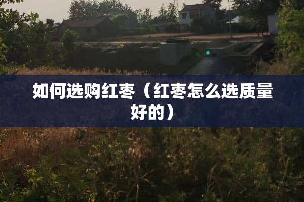 如何选购红枣（红枣怎么选质量好的）