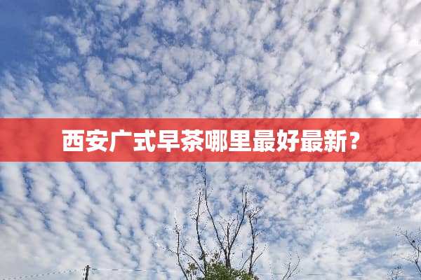 西安广式早茶哪里最好最新？