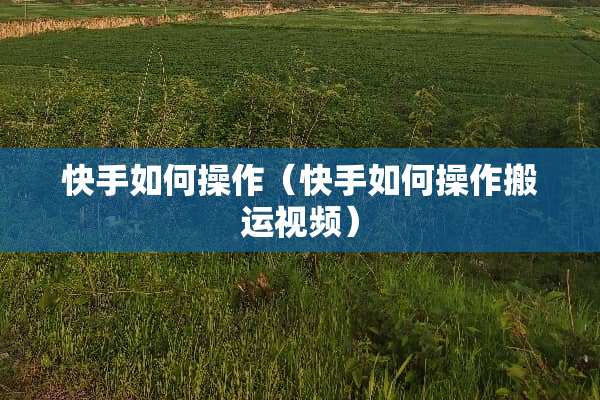 快手如何操作（快手如何操作搬运视频）