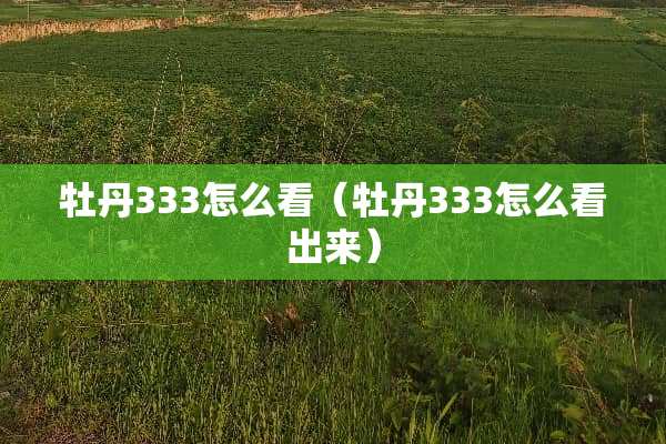 牡丹333怎么看（牡丹333怎么看出来）