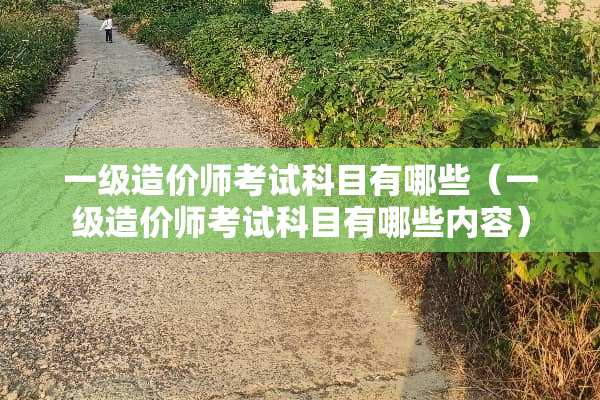 一级造价师考试科目有哪些（一级造价师考试科目有哪些内容）