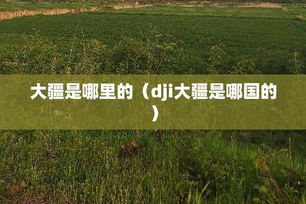 大疆是哪里的（dji大疆是哪国的）