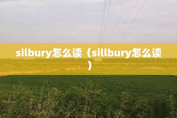 silbury怎么读（sillbury怎么读）