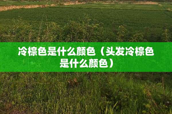 冷棕色是什么颜色（头发冷棕色是什么颜色）