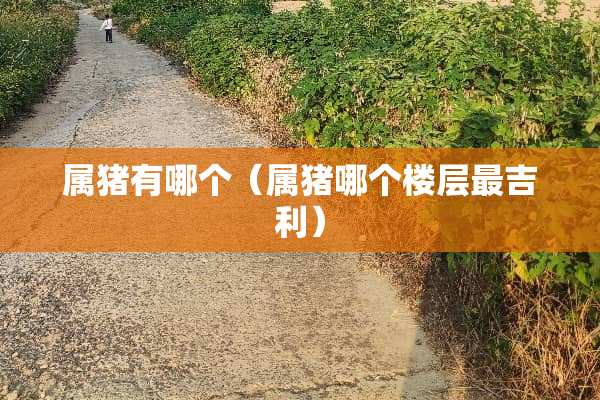 属猪有哪个（属猪哪个楼层最吉利）