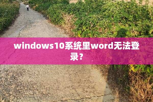 windows10系统里word无法登录？