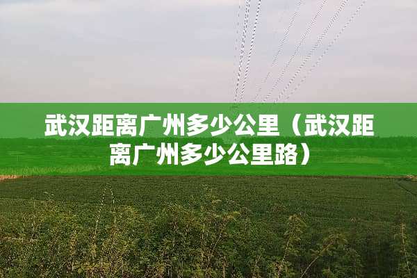 武汉距离广州多少公里（武汉距离广州多少公里路）