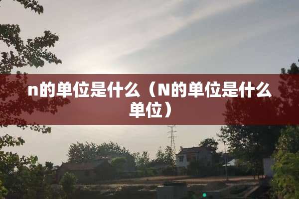 n的单位是什么（N的单位是什么单位）