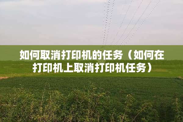 如何取消打印机的任务（如何在打印机上取消打印机任务）
