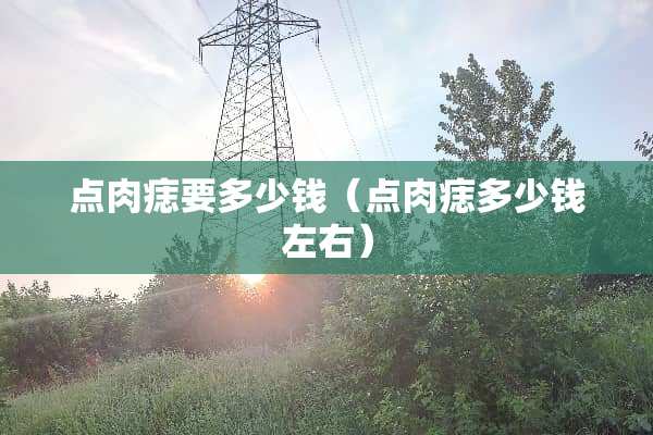 点肉痣要多少钱（点肉痣多少钱左右）