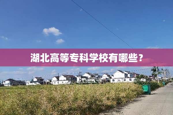 湖北高等专科学校有哪些？