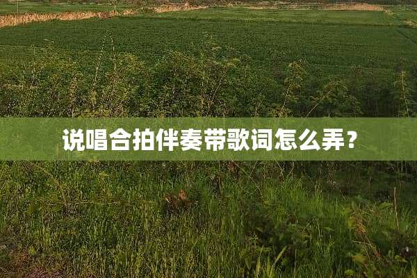说唱合拍伴奏带歌词怎么弄？