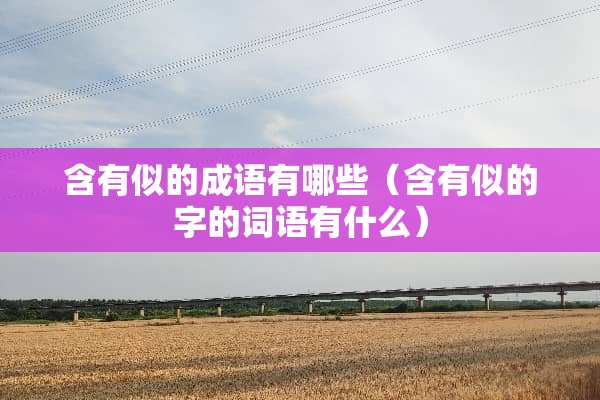 含有似的成语有哪些（含有似的字的词语有什么）