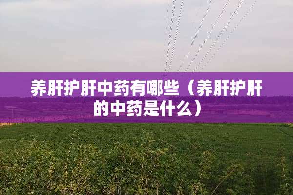 养肝护肝中药有哪些（养肝护肝的中药是什么）