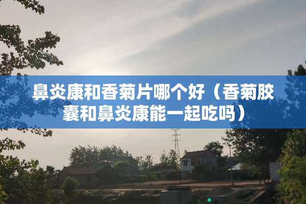 鼻炎康和香菊片哪个好（香菊胶囊和鼻炎康能一起吃吗）