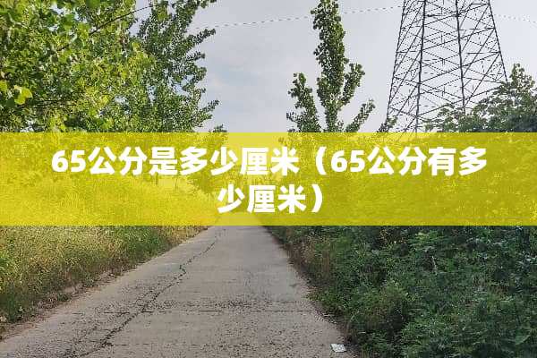 65公分是多少厘米（65公分有多少厘米）