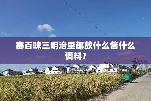 赛百味三明治里都放什么酱什么调料？
