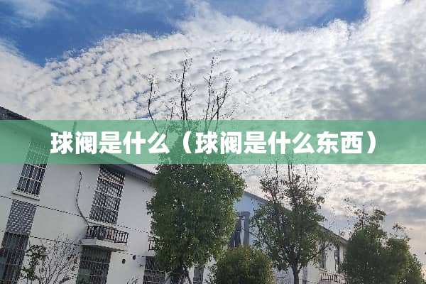 球阀是什么（球阀是什么东西）