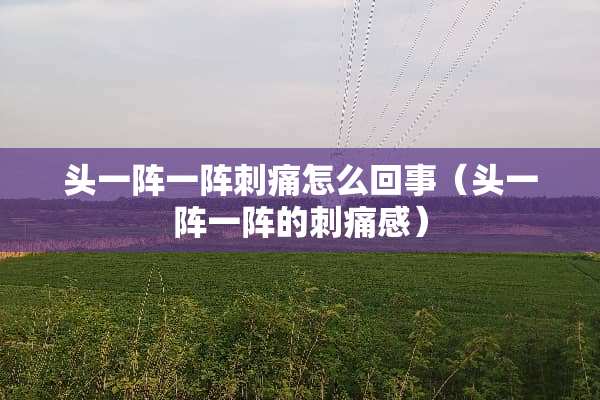 头一阵一阵刺痛怎么回事（头一阵一阵的刺痛感）