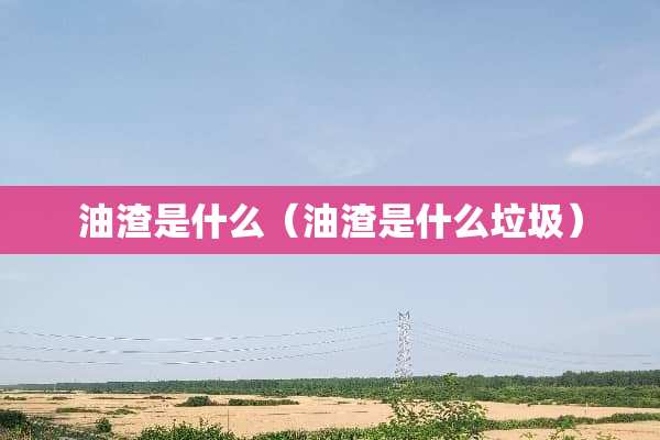 油渣是什么（油渣是什么垃圾）