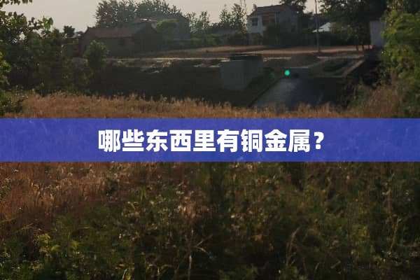 哪些东西里有铜金属？