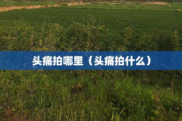 头痛拍哪里（头痛拍什么）