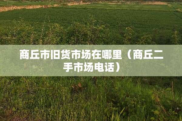 商丘市旧货市场在哪里（商丘二手市场电话）