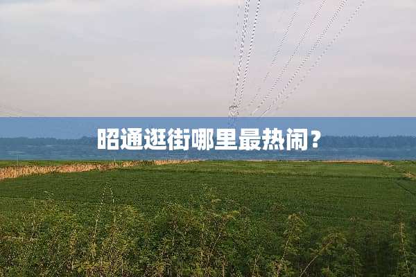 昭通逛街哪里最热闹？