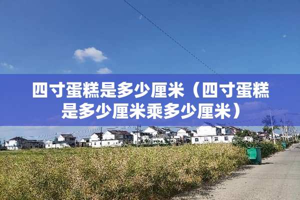 四寸蛋糕是多少厘米（四寸蛋糕是多少厘米乘多少厘米）