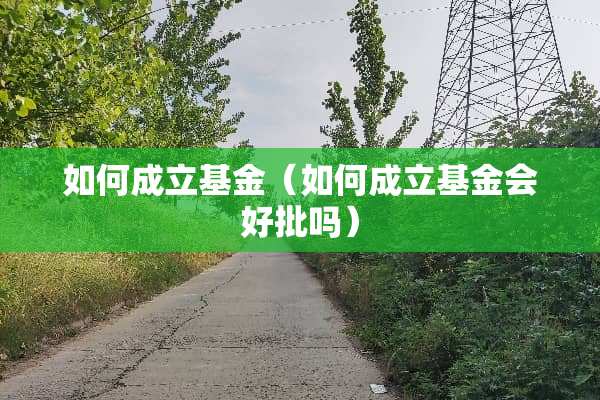 如何成立基金（如何成立基金会好批吗）