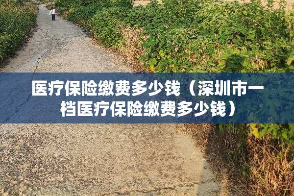 医疗保险缴费多少钱（深圳市一档医疗保险缴费多少钱）